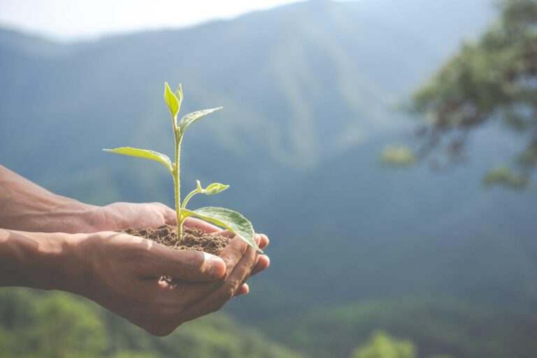 A company that can overcome these challenges and creates a thriving culture of good ESG practice will be able to present a more positive face to stakeholders, enjoy long-term growth, and also look forward to a more sustainable future.
